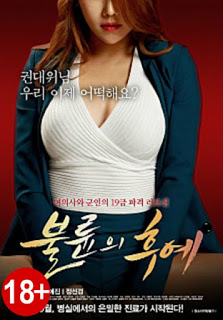 Descendants of Infidelity (2016)