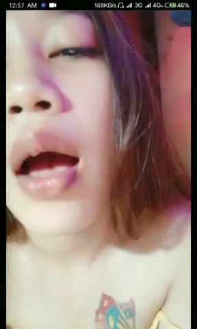 Kupukupuliar2