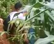 Ngintip Abg Di Kebun Singkong