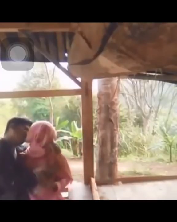 Tercyduk!!! Lagi Mesum Di Gubuk