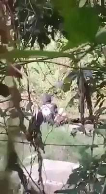 Gak Po-po Mas Terusno